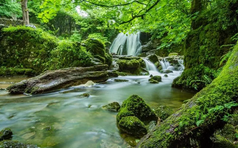 高效高质量高效